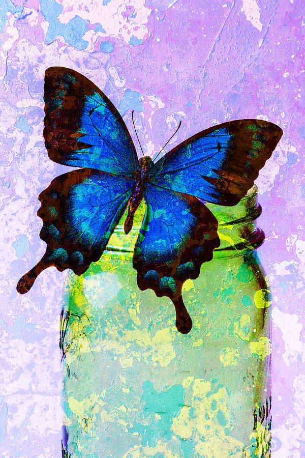 Blue Butterfly Green Jar Abstract Photograph by Garry Gay