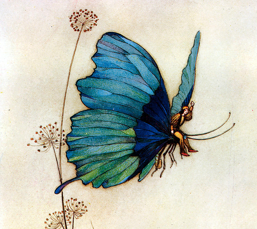 Blue Butterfly II Digital Art by Warwick Goble