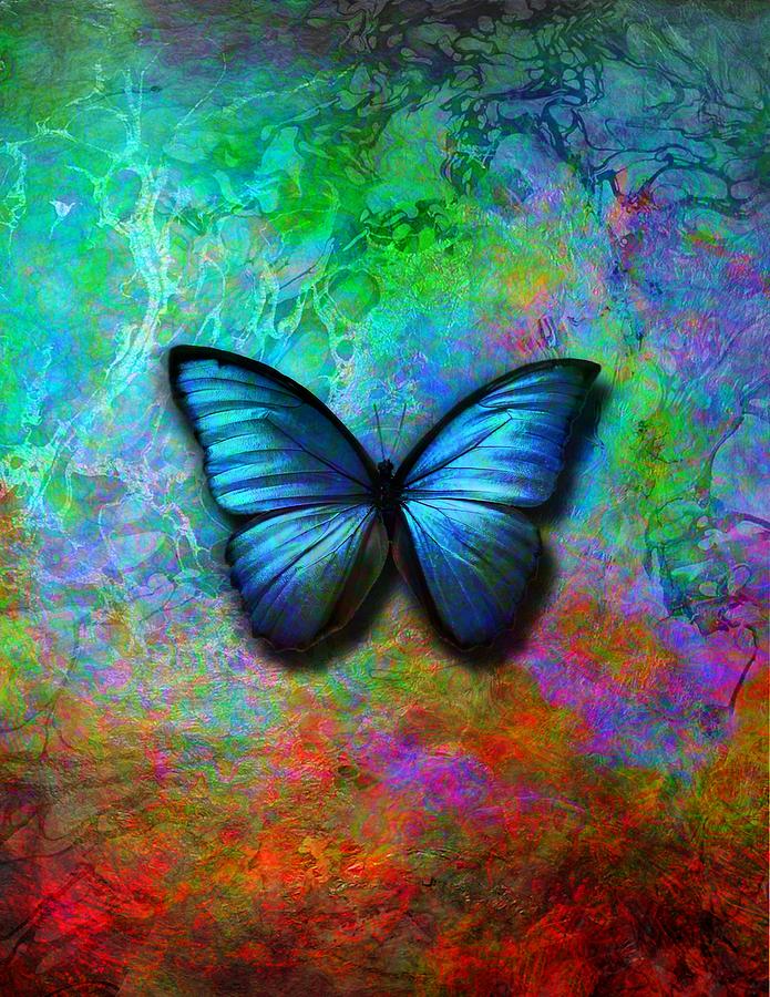 Blue Butterfly on colorful background Digital Art by Lilia D