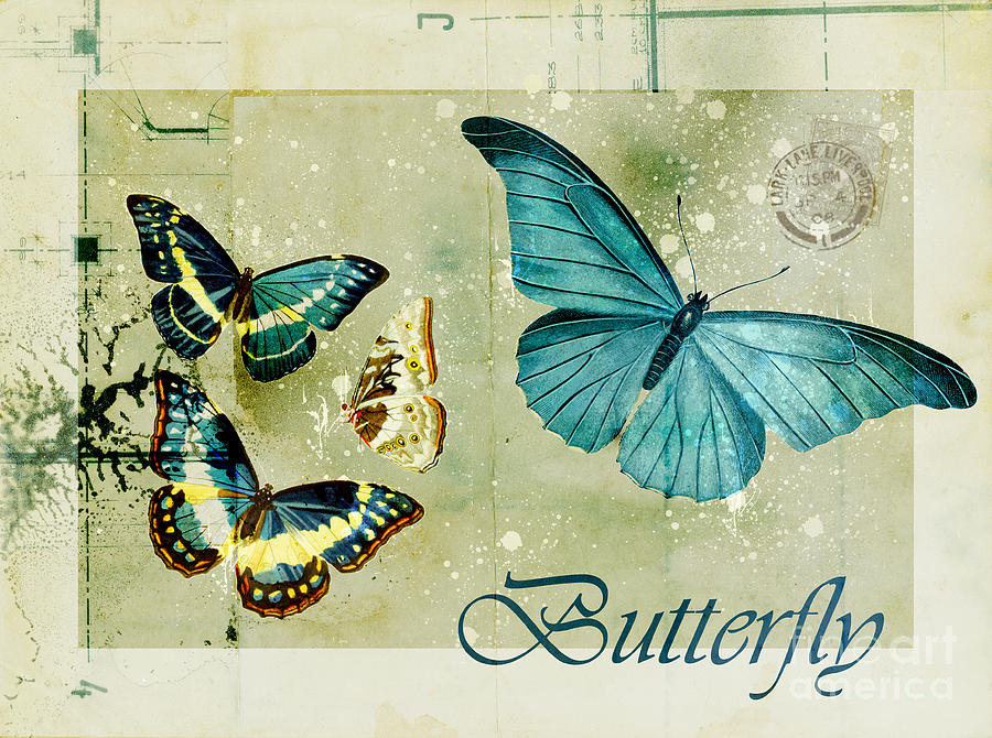 Butterfly Digital Art - Blue Butterfly - s55c01 by Variance Collections