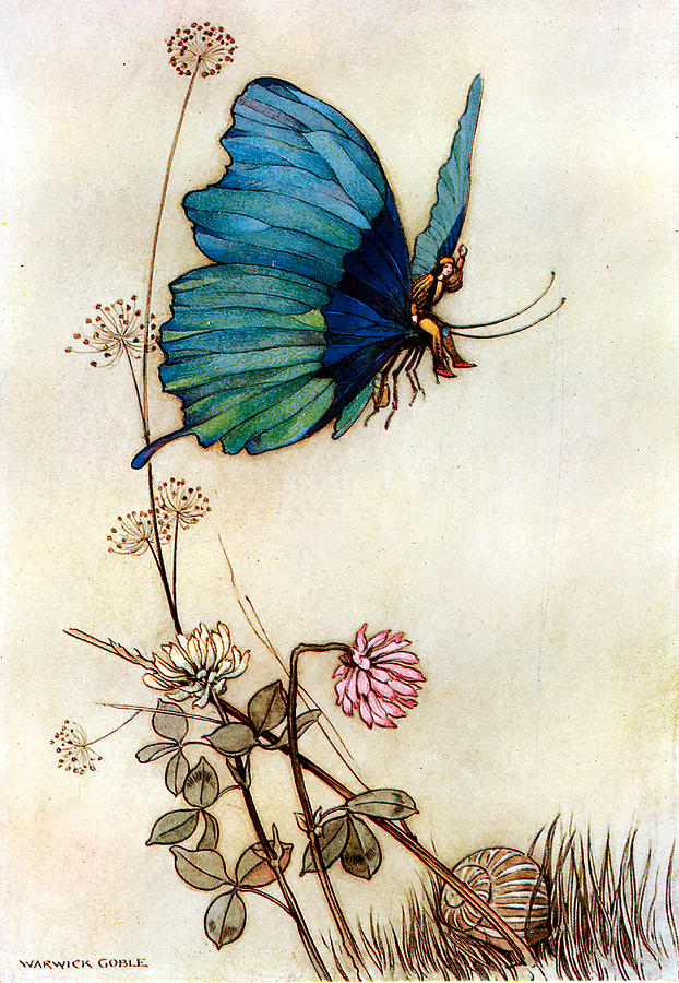 Blue Butterfly Digital Art by Warwick Goble