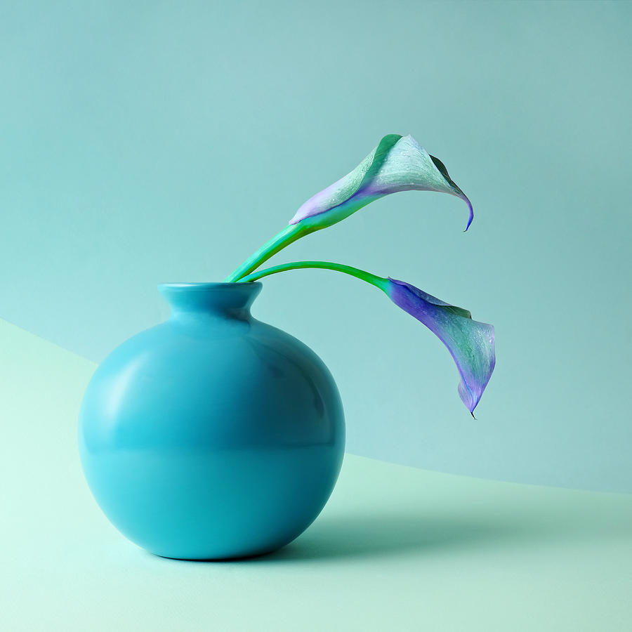 Blue Calla Lilies In Blue Vase Photograph by Juj Winn