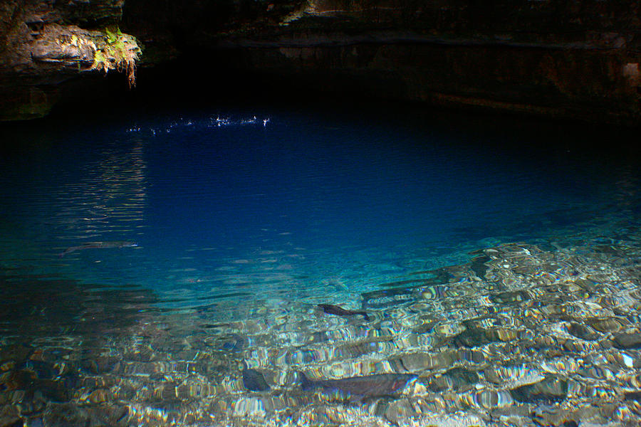 Blue Cave Spring Photograph by Jon Emery
