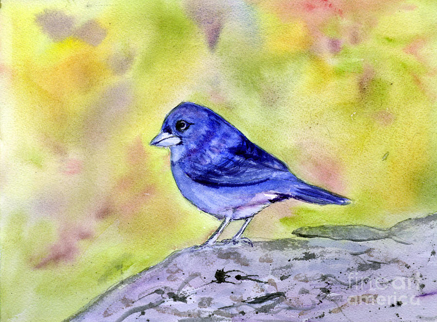 Blue Chaffinch Painting by Donna Walsh
