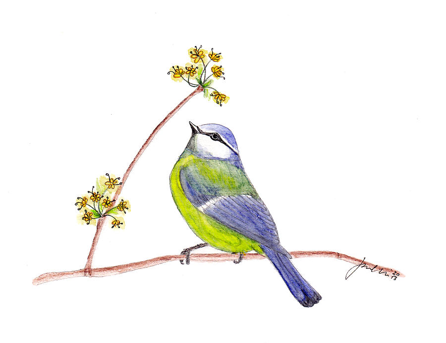 Cute Bird Painting - Blue Chickadee by Jana Bodin