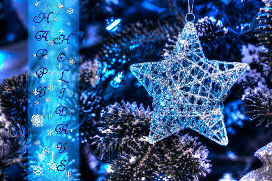 Blue Christmas II Photograph by Shelley Neff