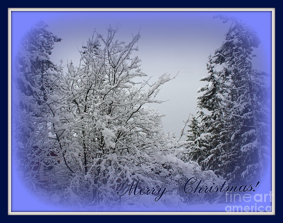 Blue Christmas Photograph by Leone Lund