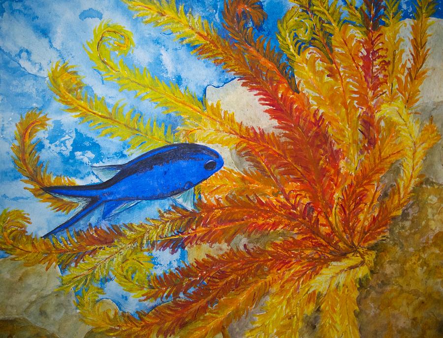 Blue Chromis Painting by Patricia Beebe