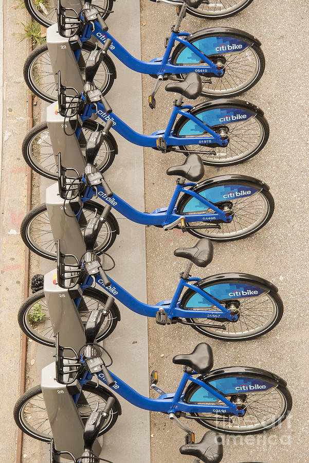 Blue City Bikes Photograph by Bob Phillips