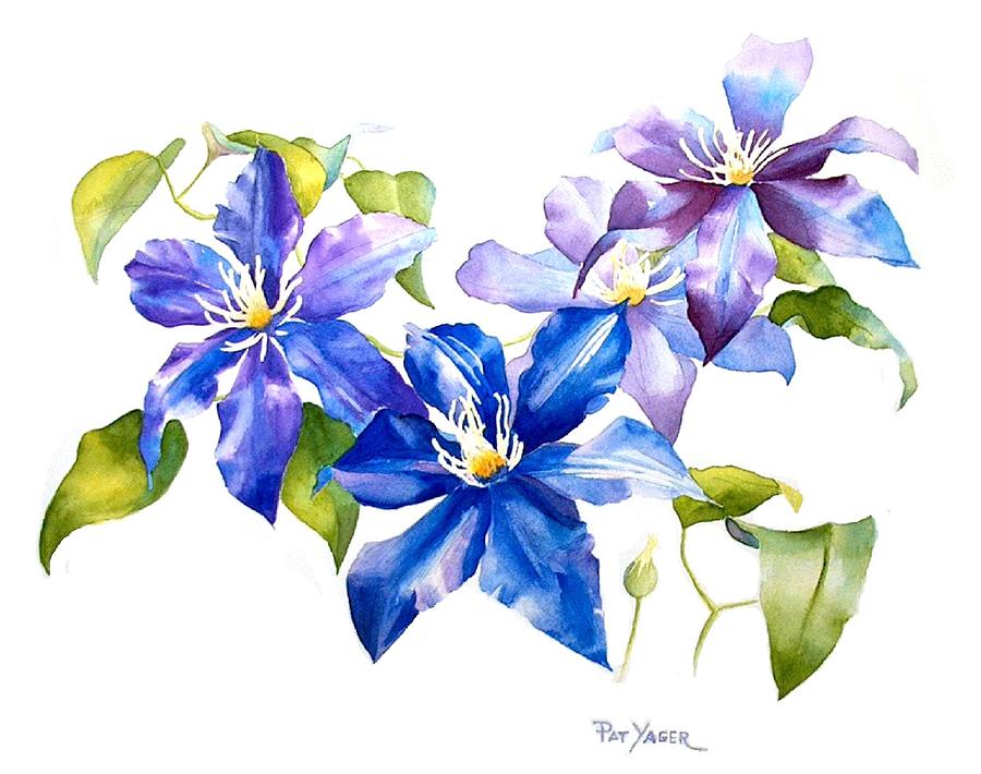 Flower Painting - Blue Clematis by Pat Yager