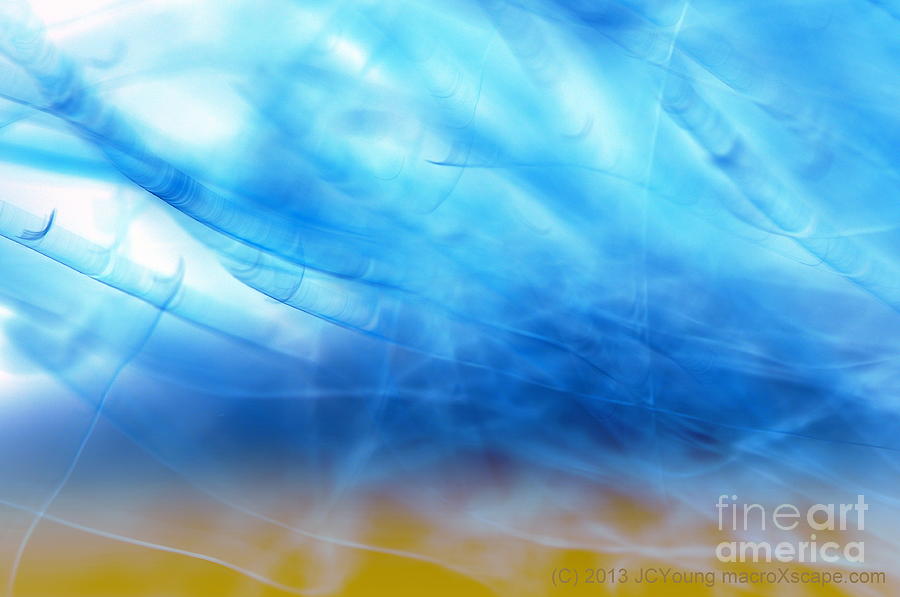 Blue Cloud Photograph by JCYoung MacroXscape Blue Cloud Photograph by JCYoung MacroXscape