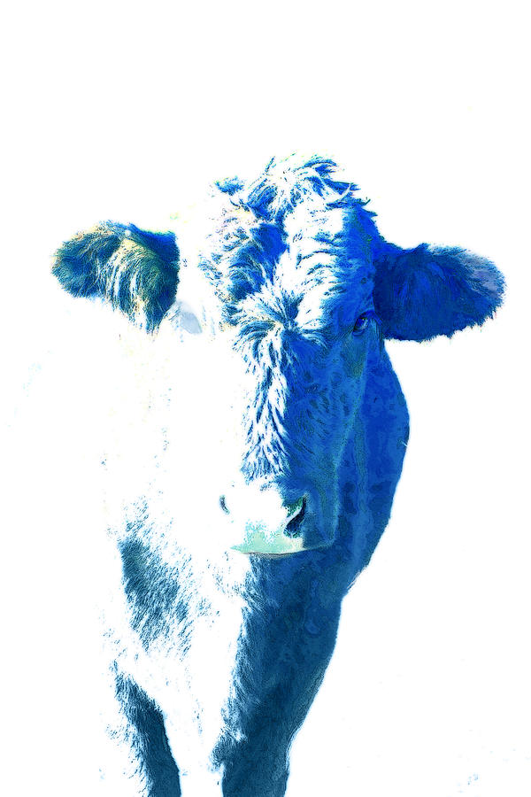 Blue Cow Digital Art by Ann Powell