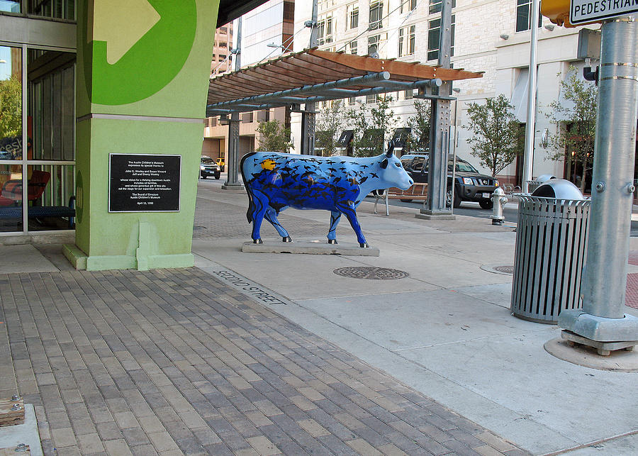Blue Cow in Colorful Austin 2008 Photograph by Connie Fox