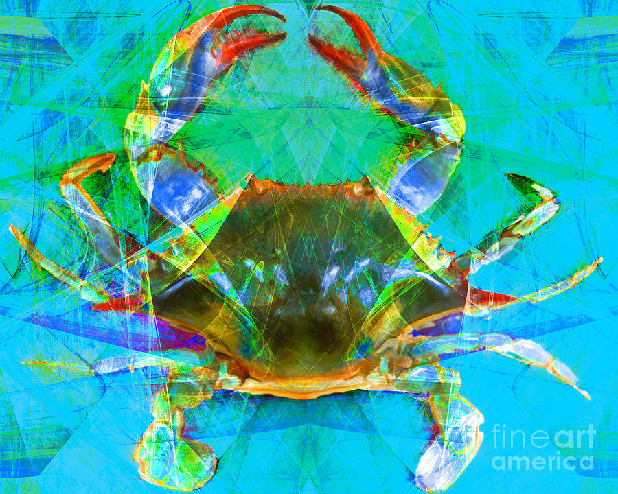 Blue Crab 20140206v2 Photograph by Wingsdomain Art and Photography