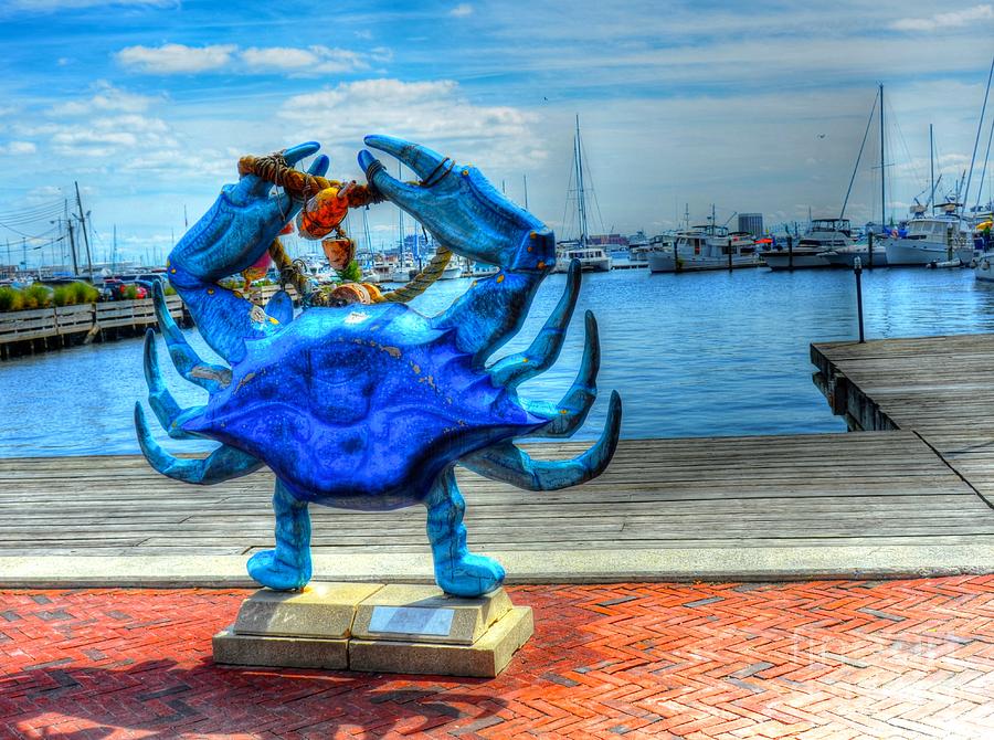 Baltimore Photograph - Blue Crab by Debbi Granruth