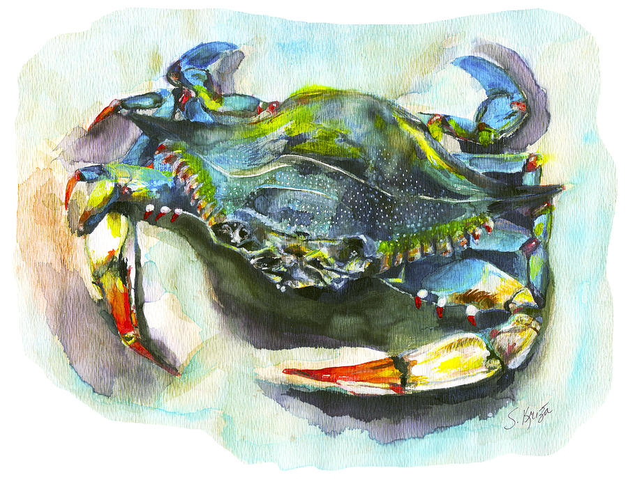 Wildlife Painting - Blue Crab  by Stephanie  Kriza