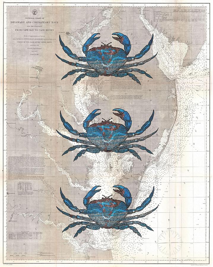 Map Photograph - Blue Crabs On 1866 Chesapeake Coastal Map by Suzanne Powers
