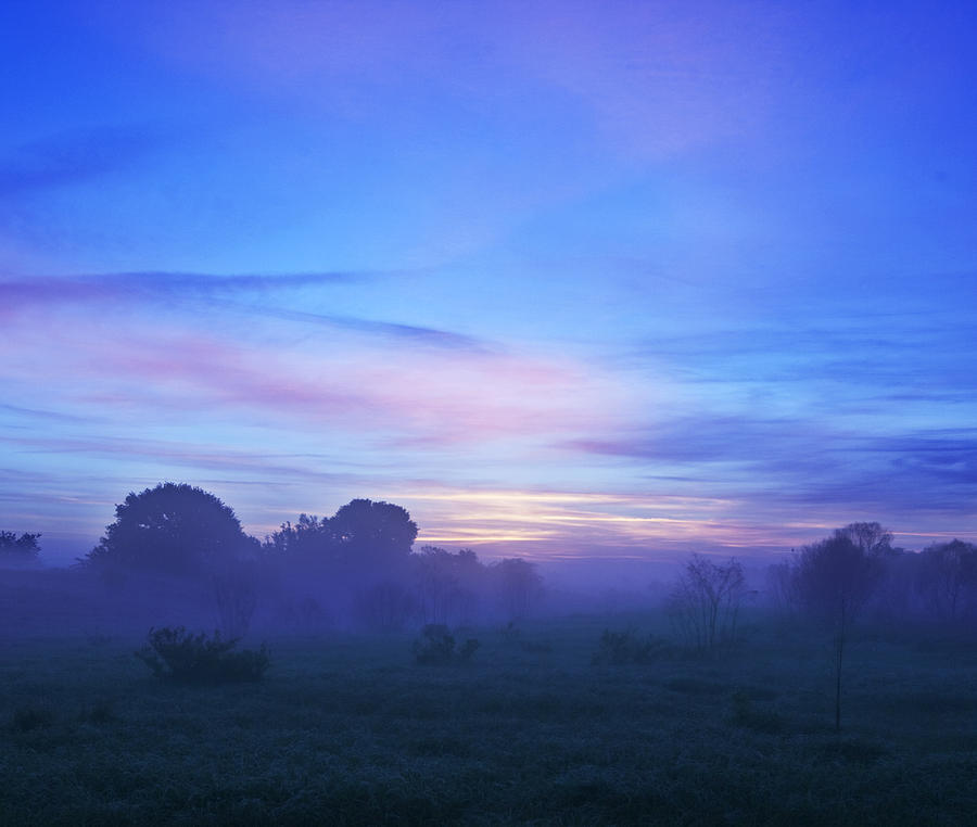 Blue Dawn Photograph by Al Hurley