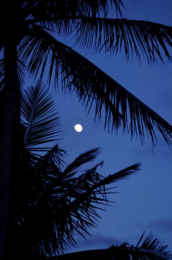 Blue Dawn Moon over Kapoho  Photograph by Lehua Pekelo-Stearns