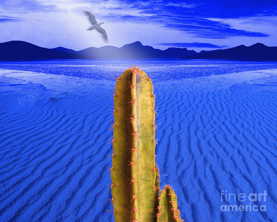Blue Desert Photograph by Edmund Nagele FRPS