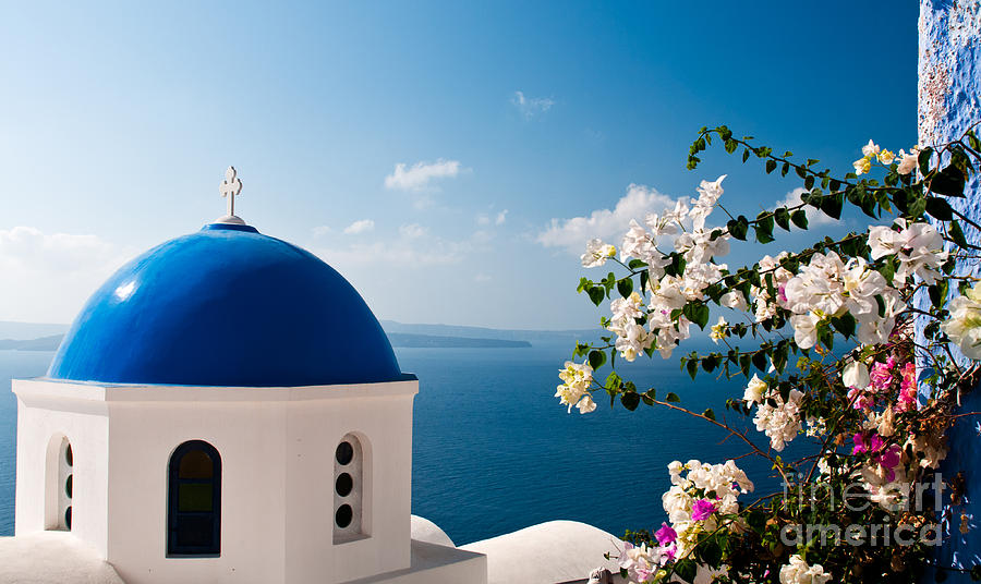 Blue dome and flower of Santorini Photograph by Kim Pin Tan - Fine Art ...