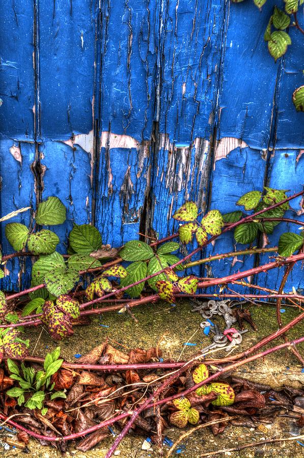 Blue door Photograph by Spikey Mouse Photography