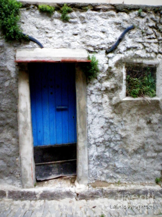 Blue Door  on Rustic House Photograph by Lainie Wrightson