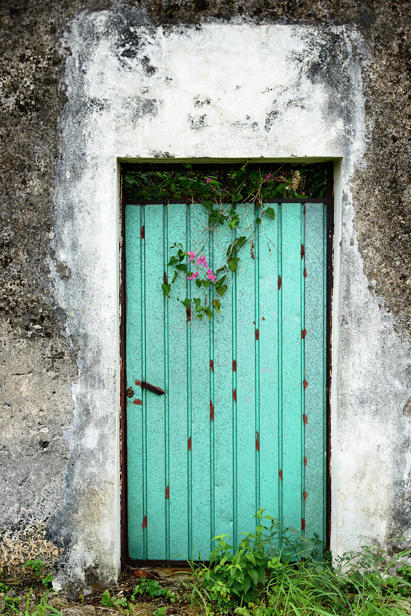 Blue Door -xxxl Photograph by Ogphoto