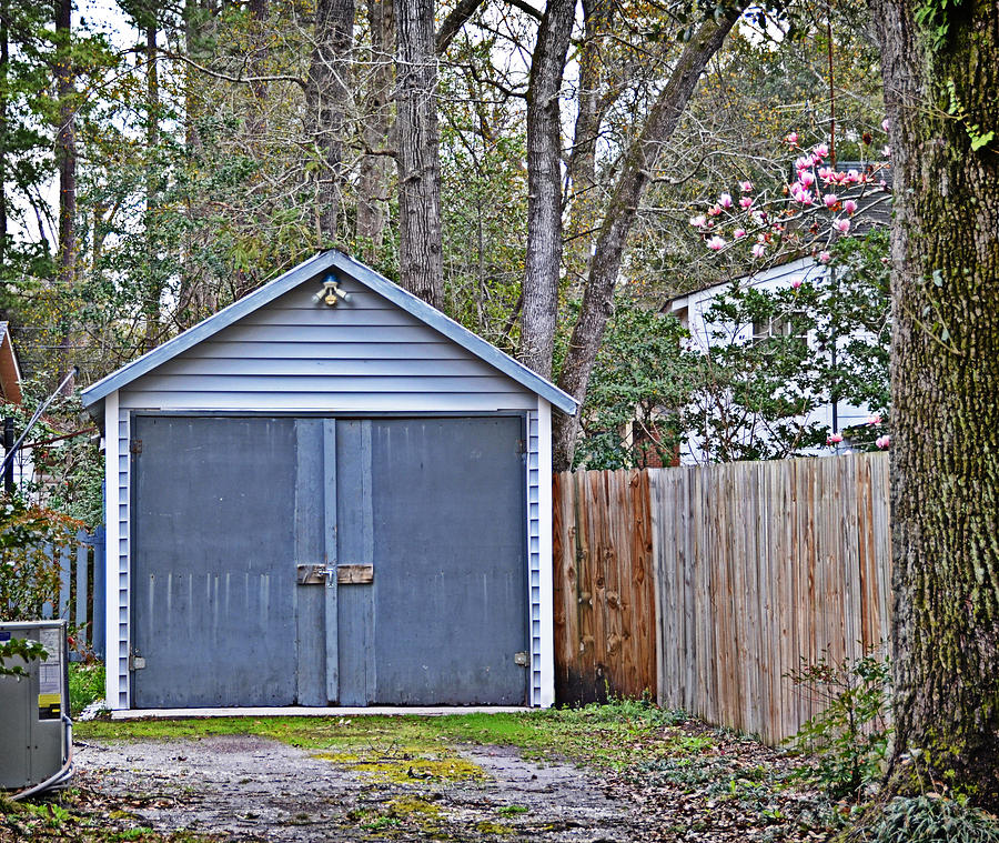Blue Doors Photograph by Linda Brown