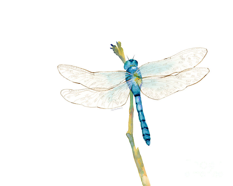 Insects Painting - Blue Dragonfly by Amy Kirkpatrick