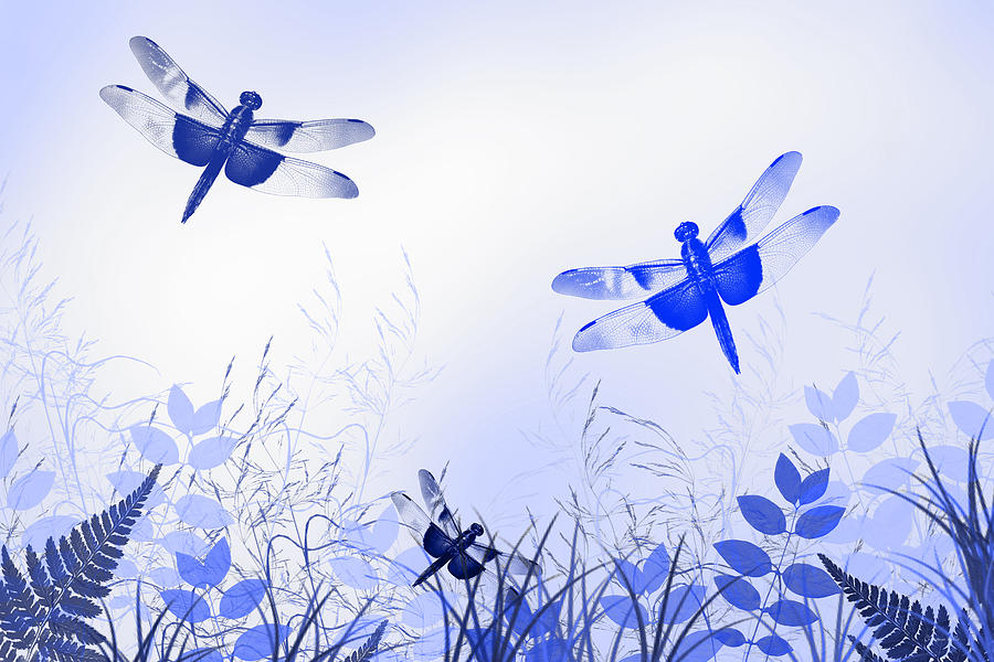 Blue Dragonfly Art Mixed Media by Christina Rollo