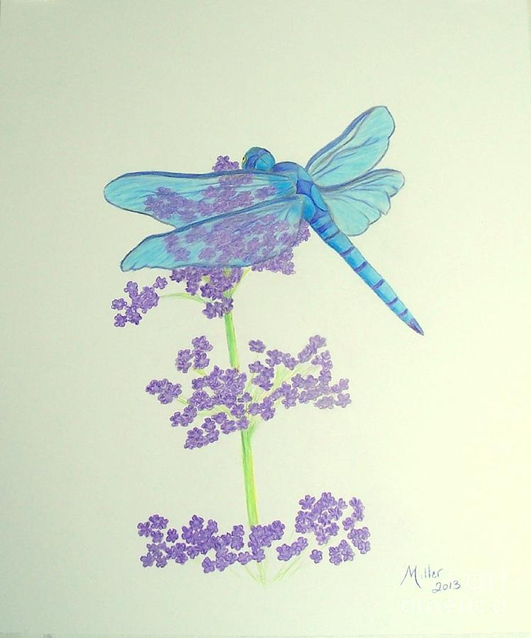 Blue Dragonfly Drawing by Peggy Miller