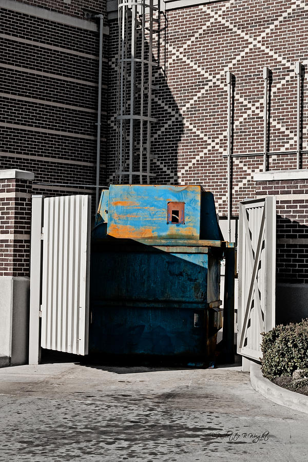 Blue Dumpster Photograph by Paulette B Wright
