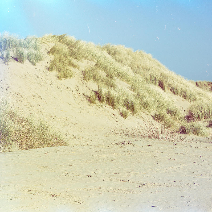 Summer Photograph - Blue Dunes by Pati Photography