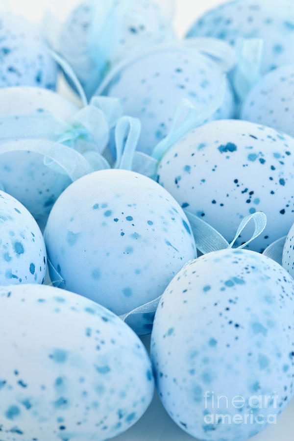 Easter Photograph - Blue Easter eggs 2 by Elena Elisseeva