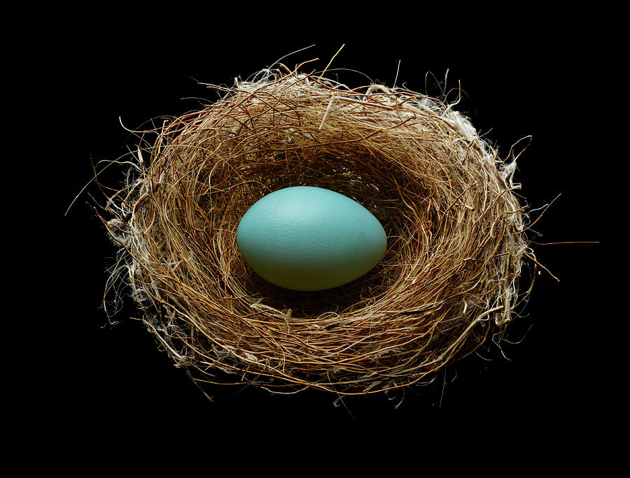 Blue Egg In A Nest Photograph by Don Farrall