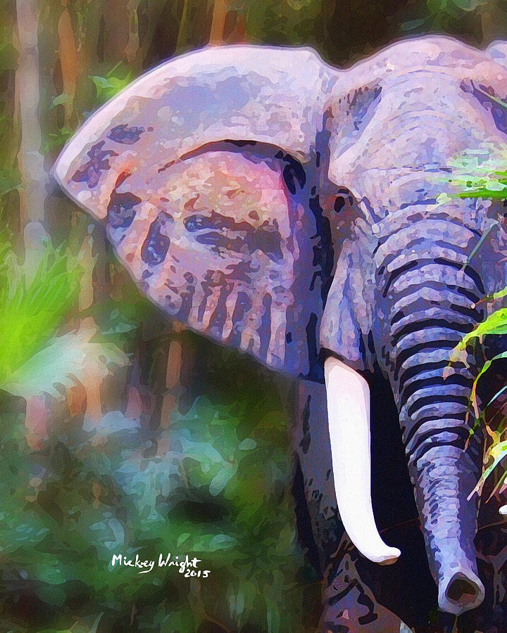Tree Photograph - Blue Elephant by Mickey Wright