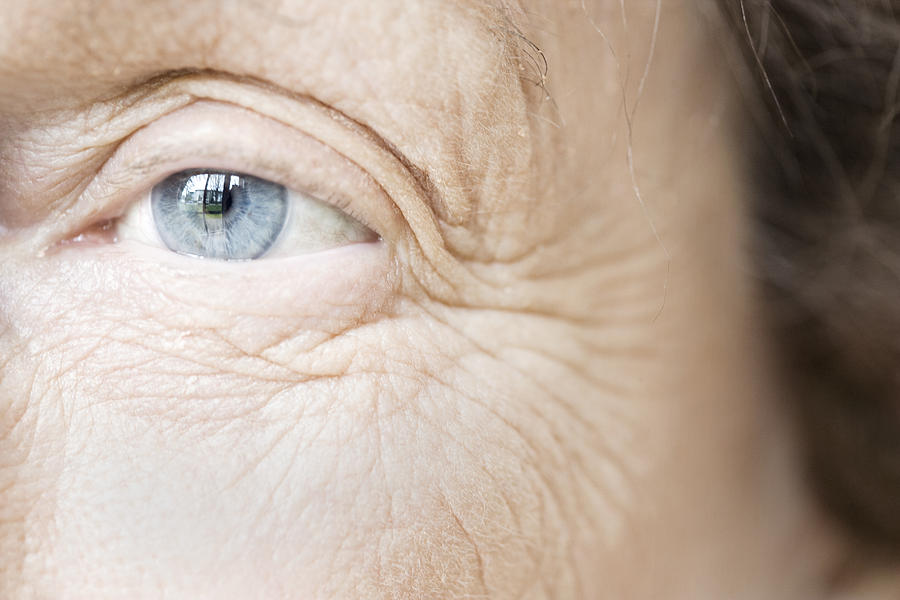 Blue Eye of Elderly Woman Photograph by Paul Burns