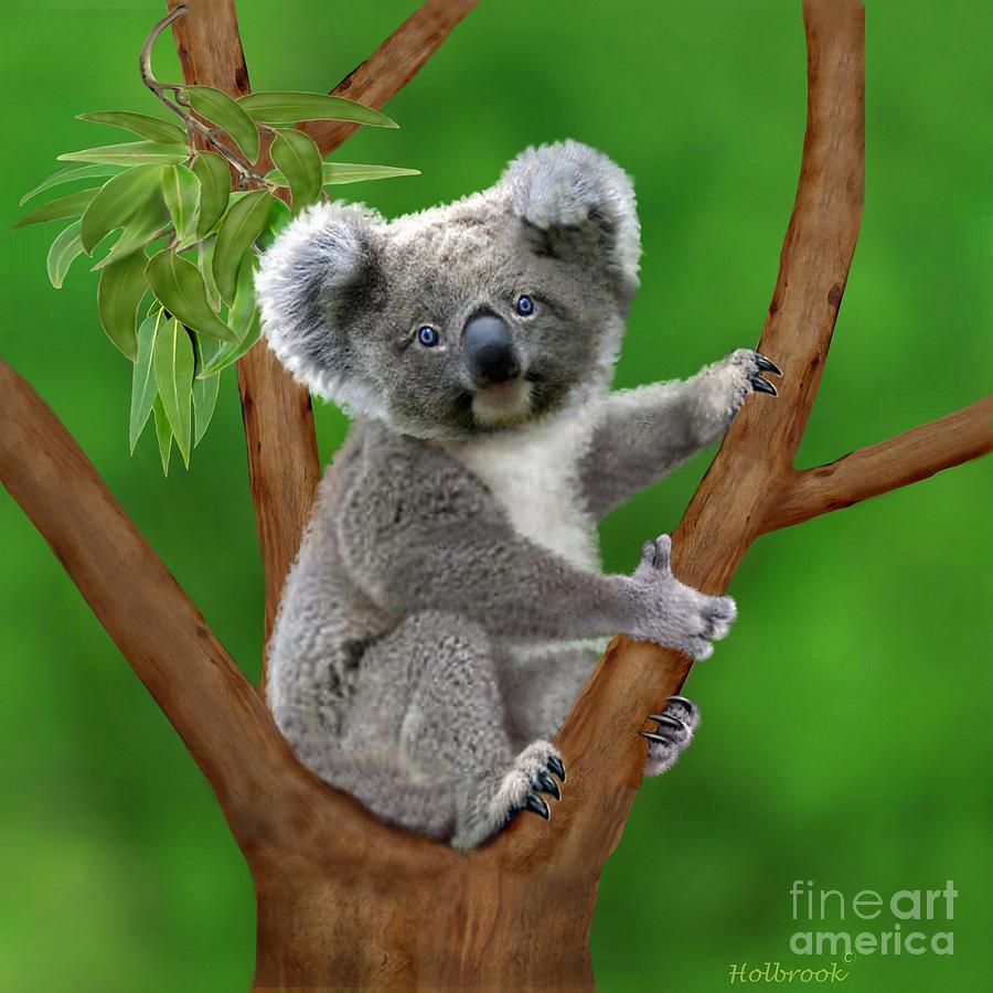 Blue-Eyed Baby Koala Digital Art by Glenn Holbrook