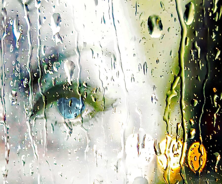 Blue Eyes Crying In The Rain Photograph by Barbara Chichester