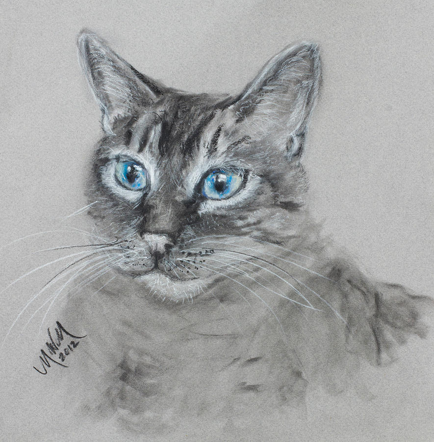 Blue Eyes by Michelle Wolff Blue Eyes by Michelle Wolff