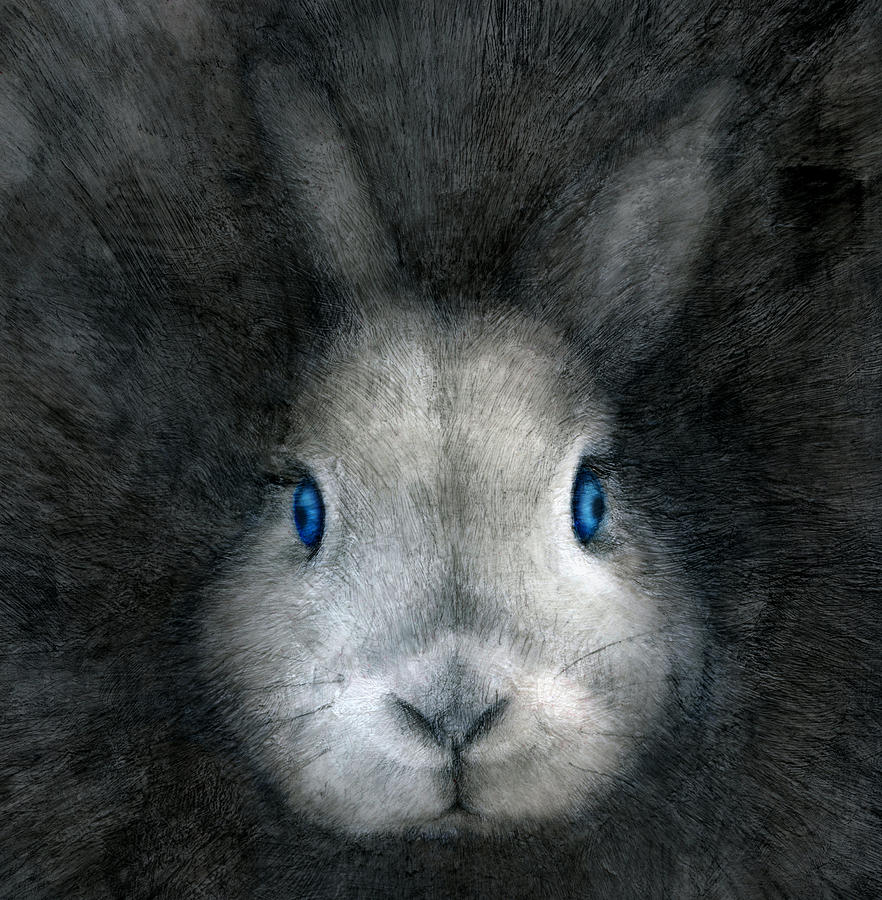 BLUE EYES by Penny Collins BLUE EYES by Penny Collins