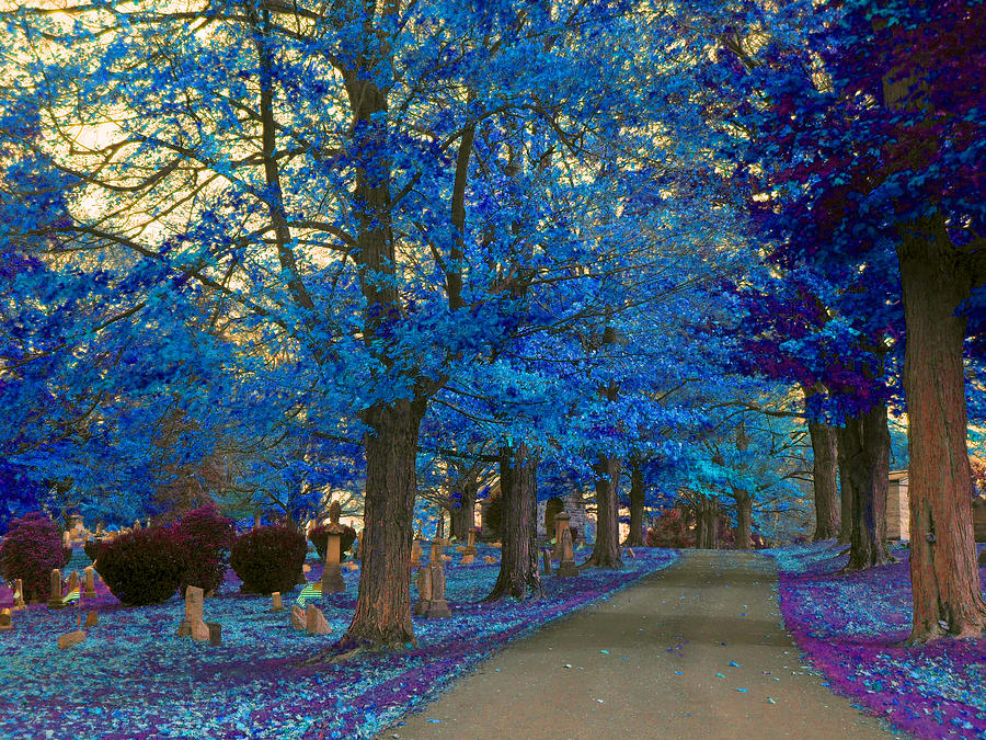 Fall Digital Art - Blue Fall Drive by Joseph Wiegand