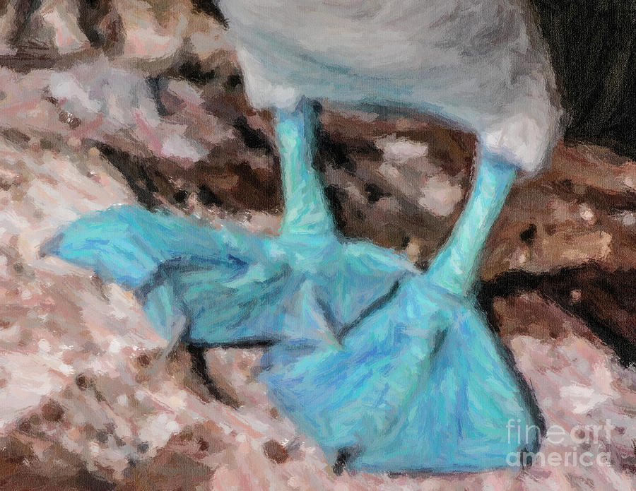 Wildlife Digital Art - Blue Feet by Liz Leyden