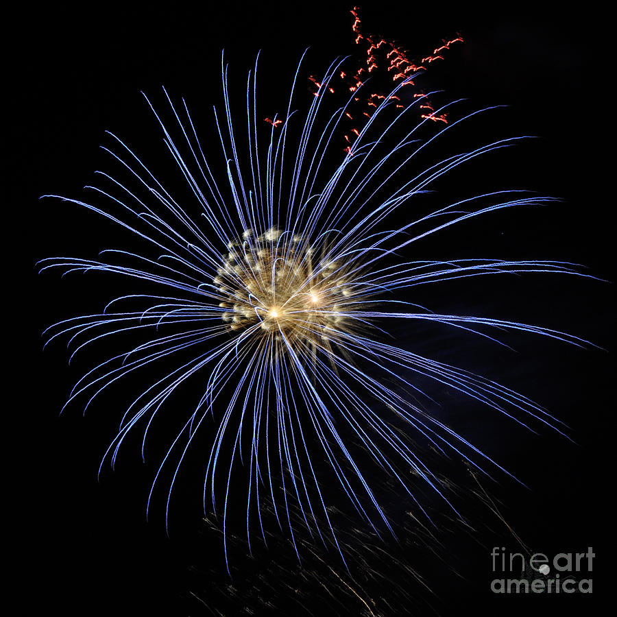 Blue Fireworks Photograph by Ronald Grogan