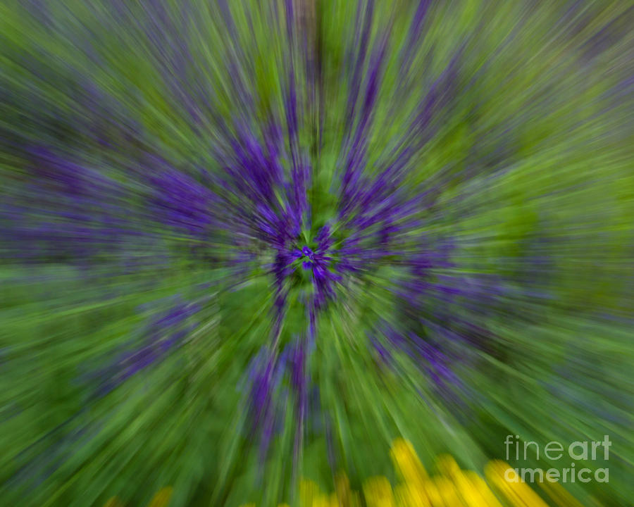 Flower Photograph - Blue Floral Blur by Dale Nelson
