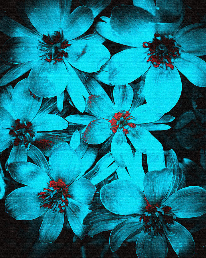 Blue Floral  Photograph by Susan McMenamin