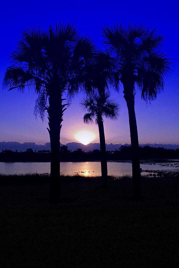 Blue Florida Sunrise Photograph by Susan Moody