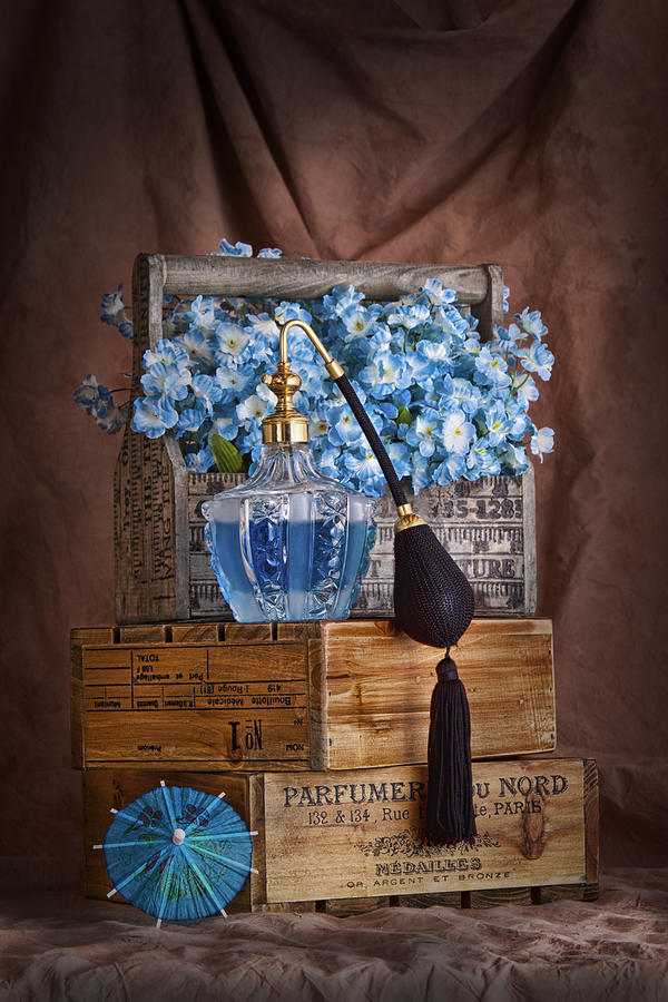 Flower Photograph - Blue Flower Still Life by Tom Mc Nemar