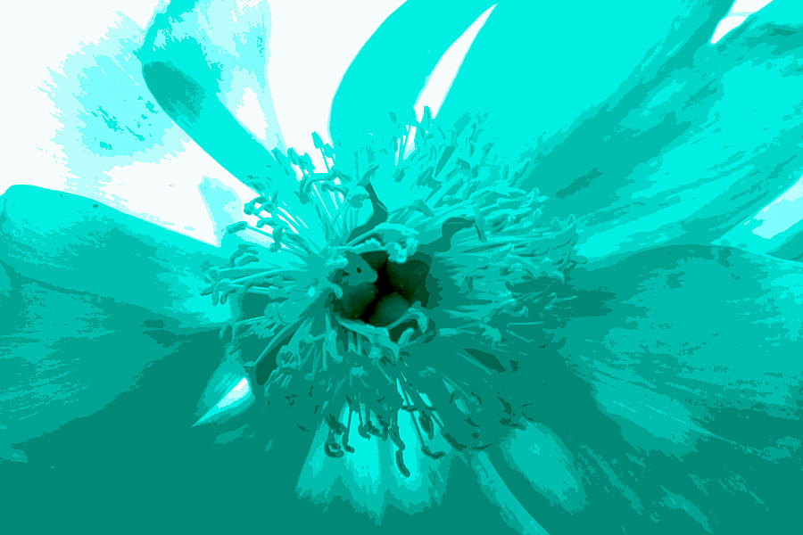 Blue Flower Digital Art by Tina Meador